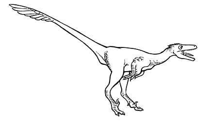 dromaeosaur