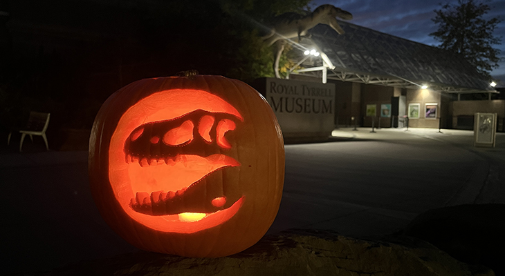Pumpkin on plaza