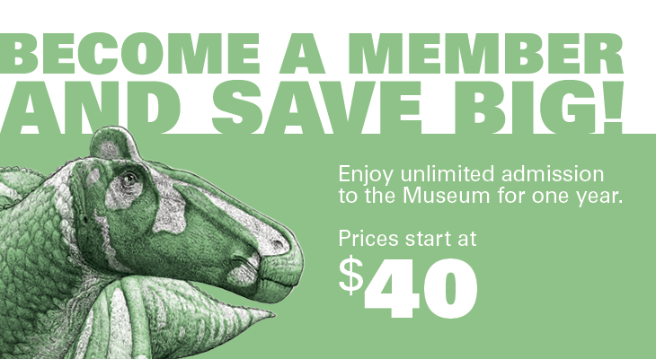 member discount graphic