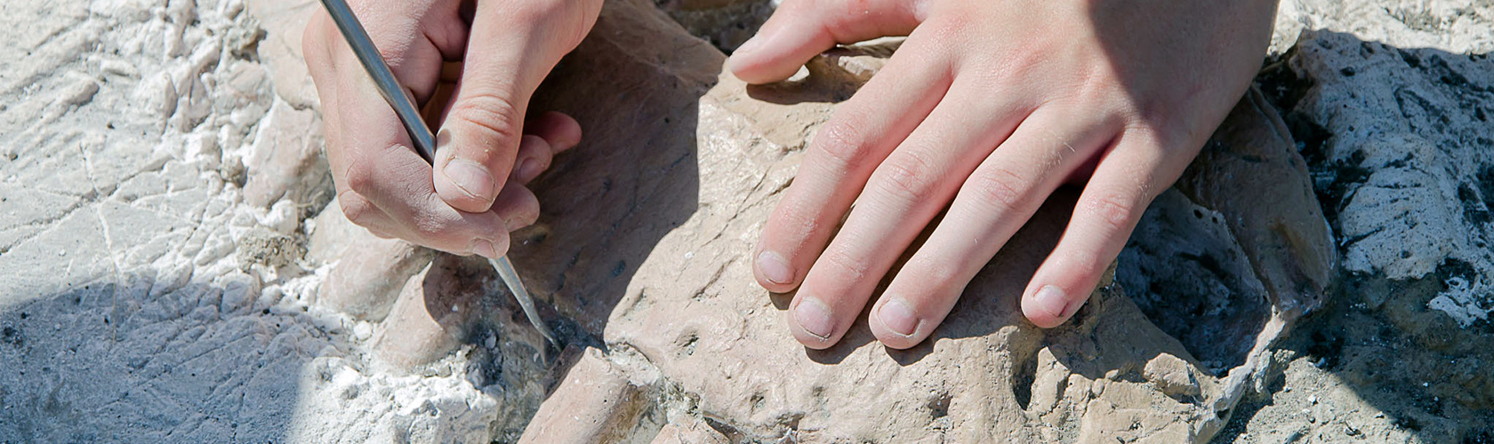 hands_digging_fossil