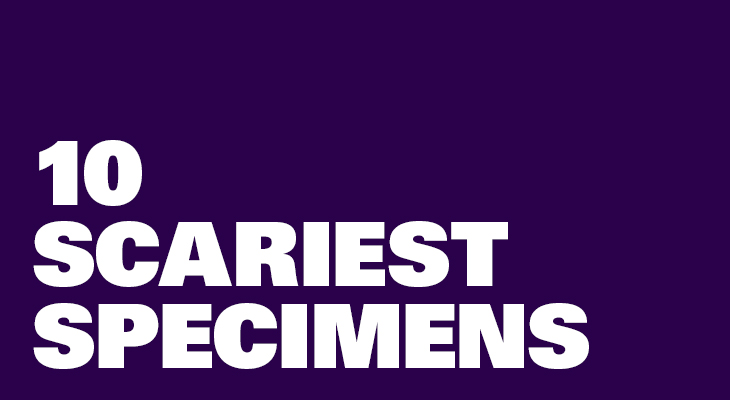 10 scariest specimens