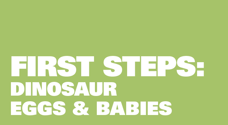 First Steps