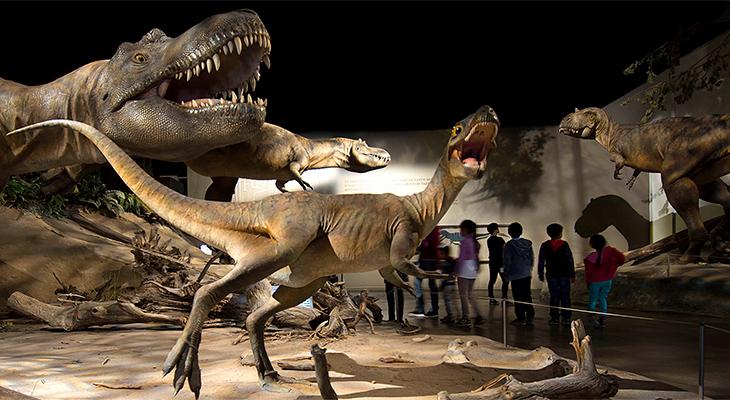 Children walk through an exhibit of Albertosaurus sculptures.