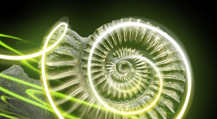 fossils_after_dusk_card