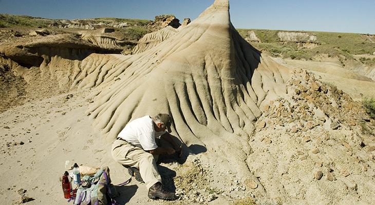 Don Brinkman digs for fossils in the badlands. 