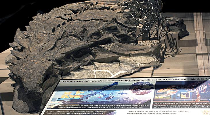 tyrrell museum nodosaur