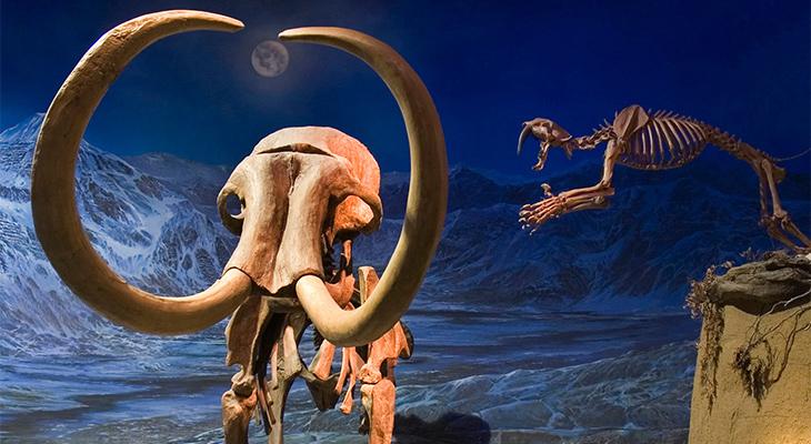 mammoth