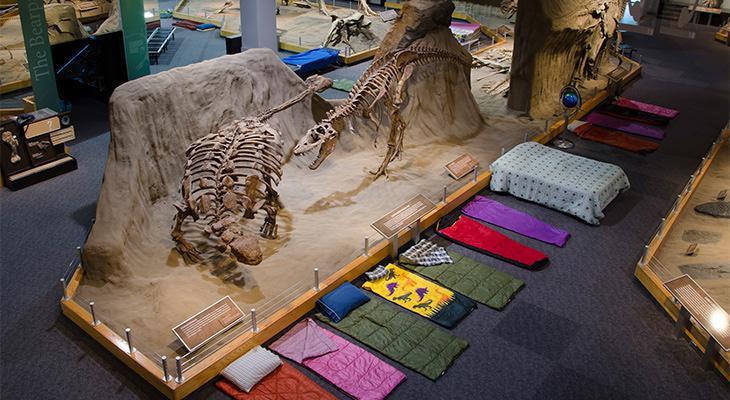 Sleeping bags on the floor in Dinosaur Hall near fossil skeletons.