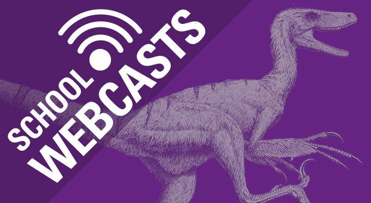 school-webcast-dig-dinos