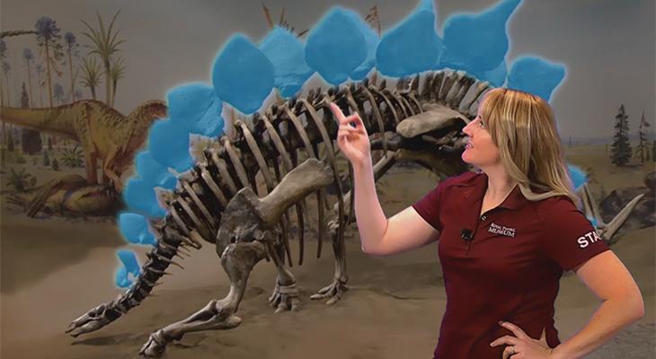 An educator points out features of a dinosaur skeleton. 