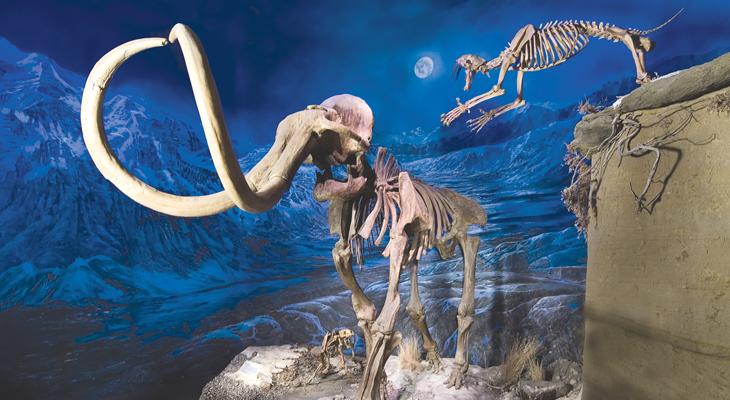 mammals-ice-age