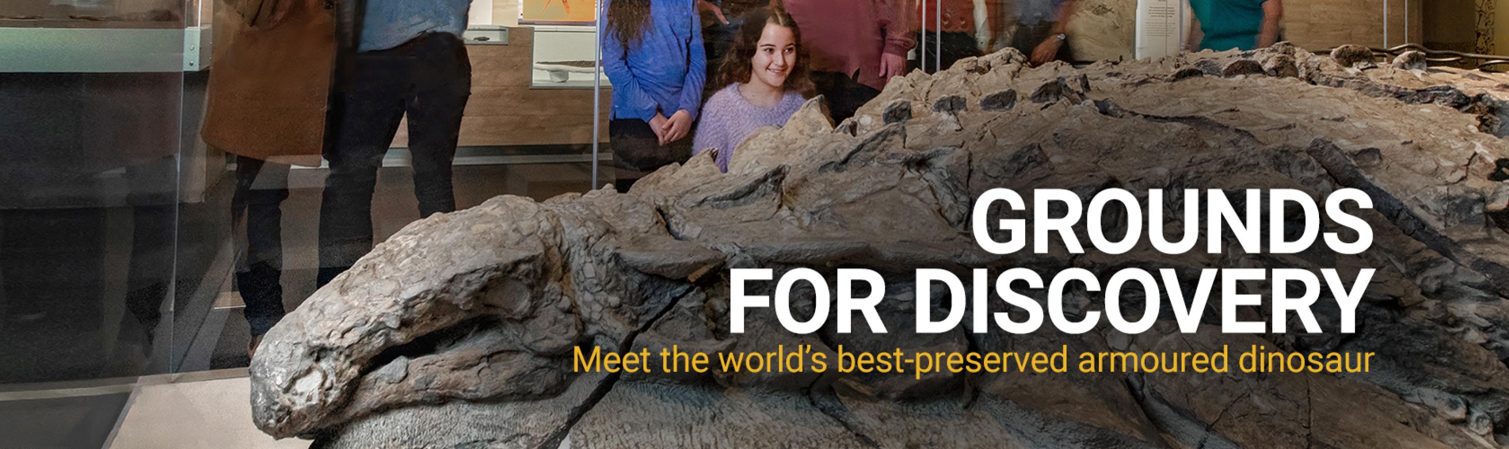 grounds_for_discovery