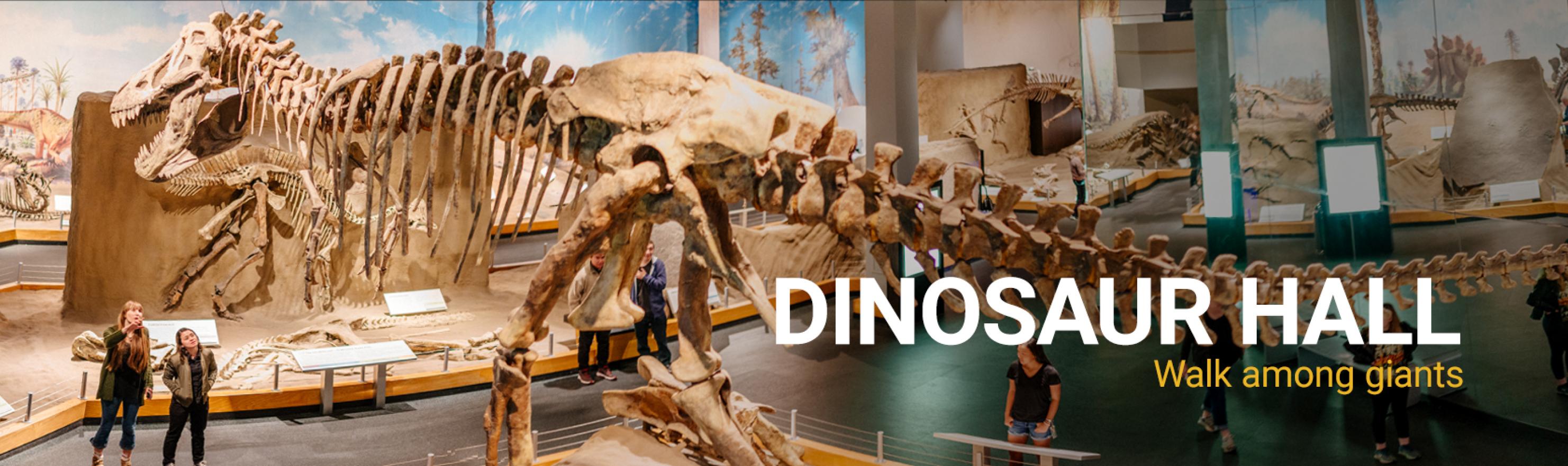 Home Royal Tyrrell Museum